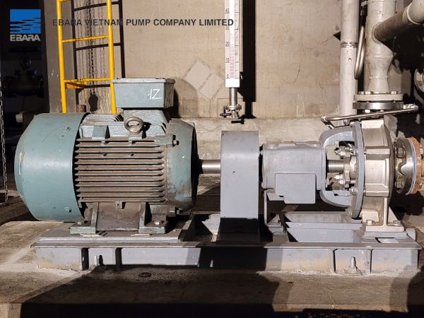 bơm hoá chất Ebara