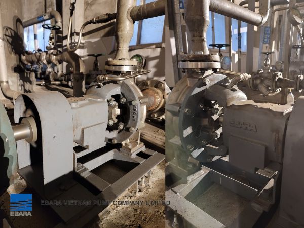 bơm hoá chất Ebara