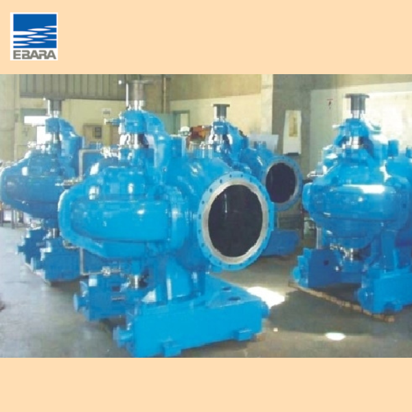 Bơm ly tâm trục đứng hai cửa hút