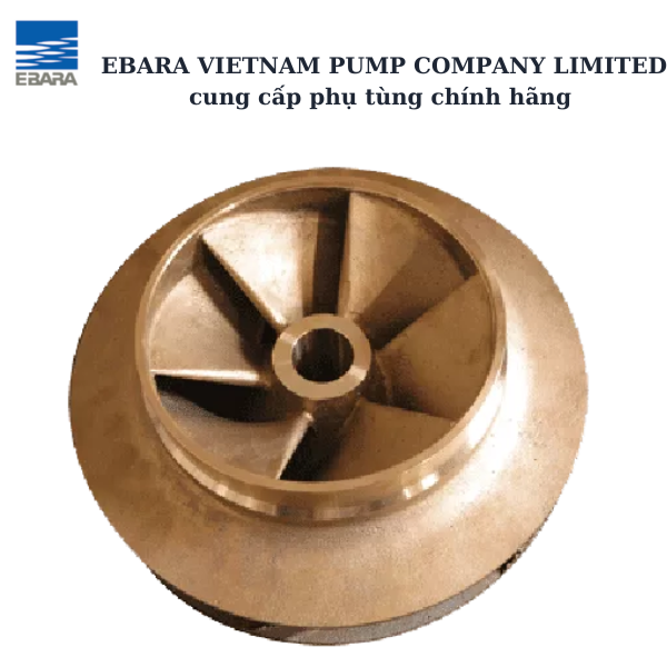 phụ kiện máy bơm Ebara