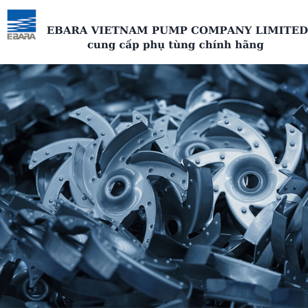 Phụ kiện máy bơm Ebara 