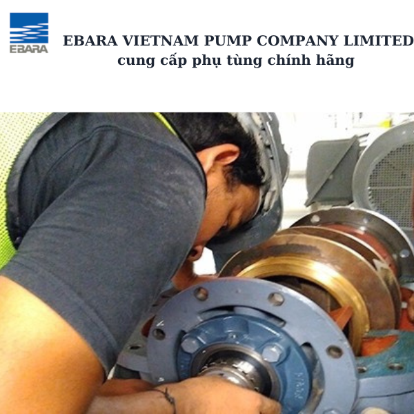 Phụ tùng chính hãng Ebara 